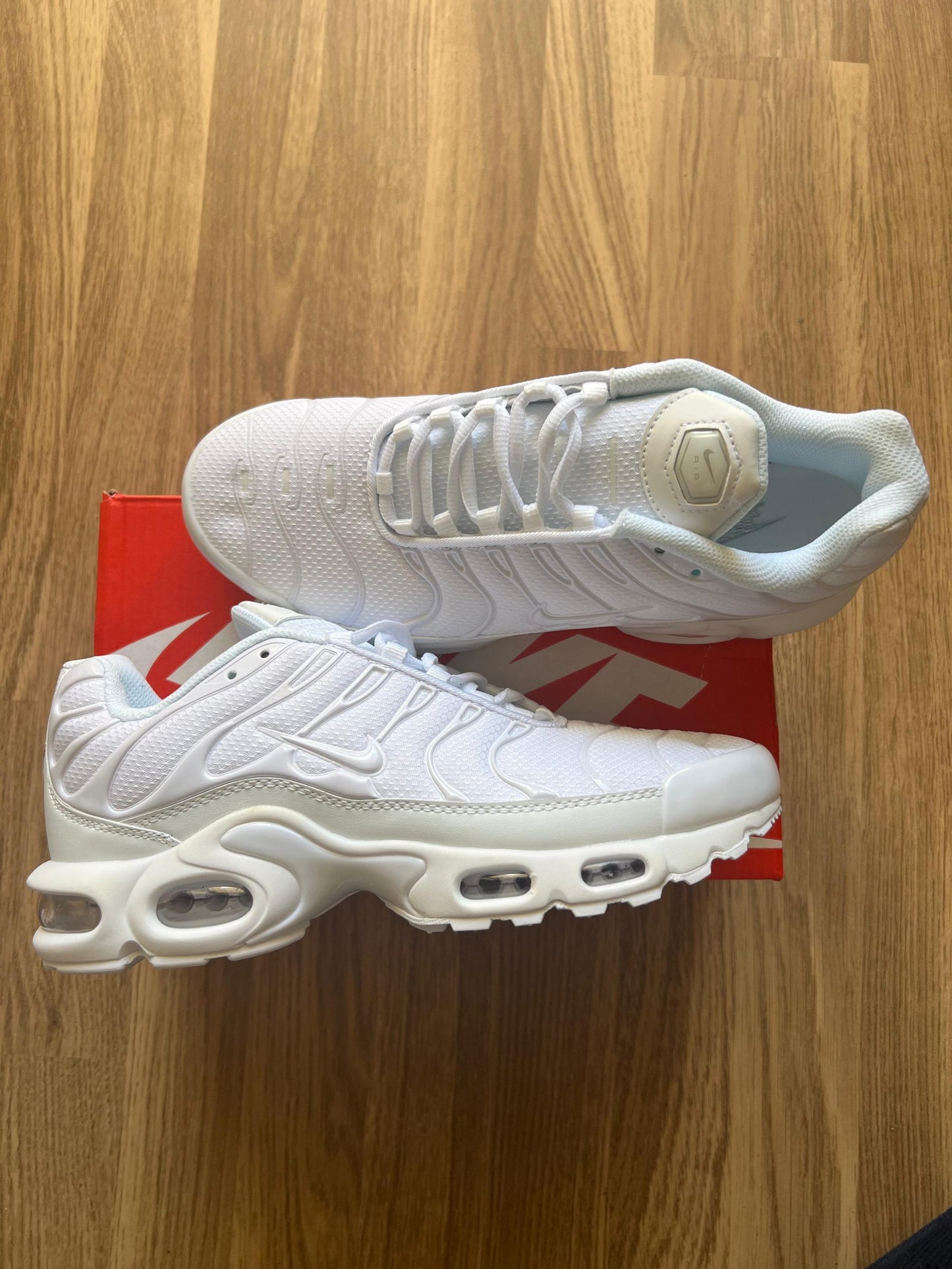 TN BLANCA